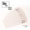 Thuya lima media luna 100/180 pack 25 uds.