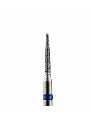 Thuya fresa lanza azul (medium)